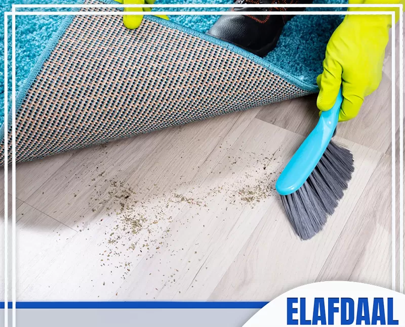 أفضل شركة تنظيف بمكة 0569607972 شركة الأفضل عامل يمسك فرشاة ويقوم بإزالة الأتربة أسفل السجاد.