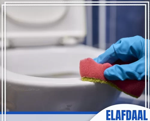 شركة تنظيف حمامات بجدة عمالة فلبينية