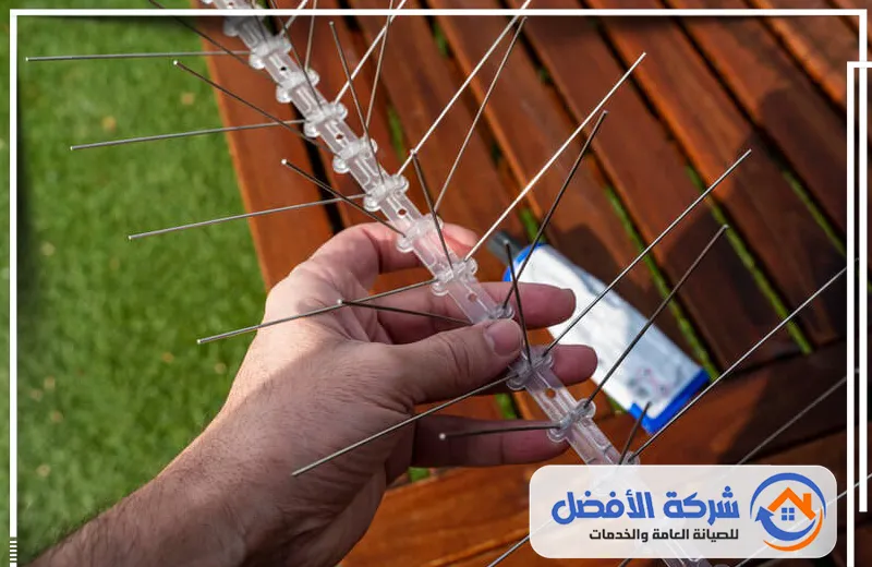 شركة تركيب طارد الحمام بجدة